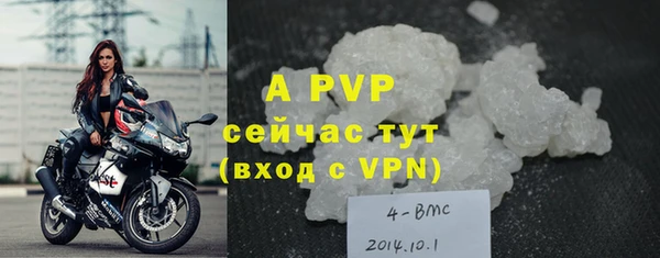 apvp Алексин
