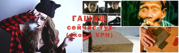 прущие грибы Пестово