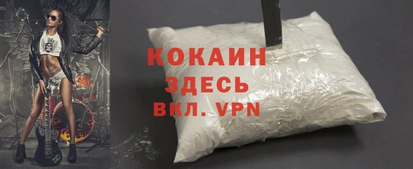 apvp Алексин