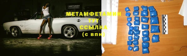 прущие грибы Пестово