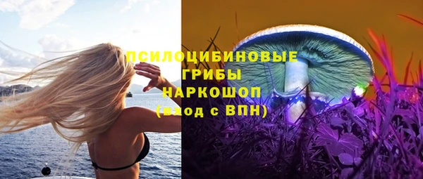 apvp Алексин