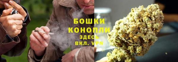 apvp Абаза